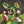 Load image into Gallery viewer, Deadstock Prep Marvin Forest Shorts