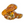 Load image into Gallery viewer, Crocs Classic Clogs Honey Nut Cheerios