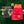 Load image into Gallery viewer, Eric Emanuel EE Basic Shorts Dip Dye