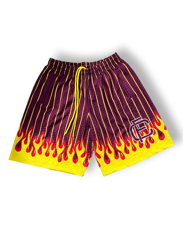 Financial è Cool Purple Pinstripes Shorts