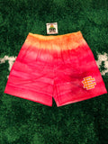 Eric Emanuel EE Basic Shorts Dip Dye